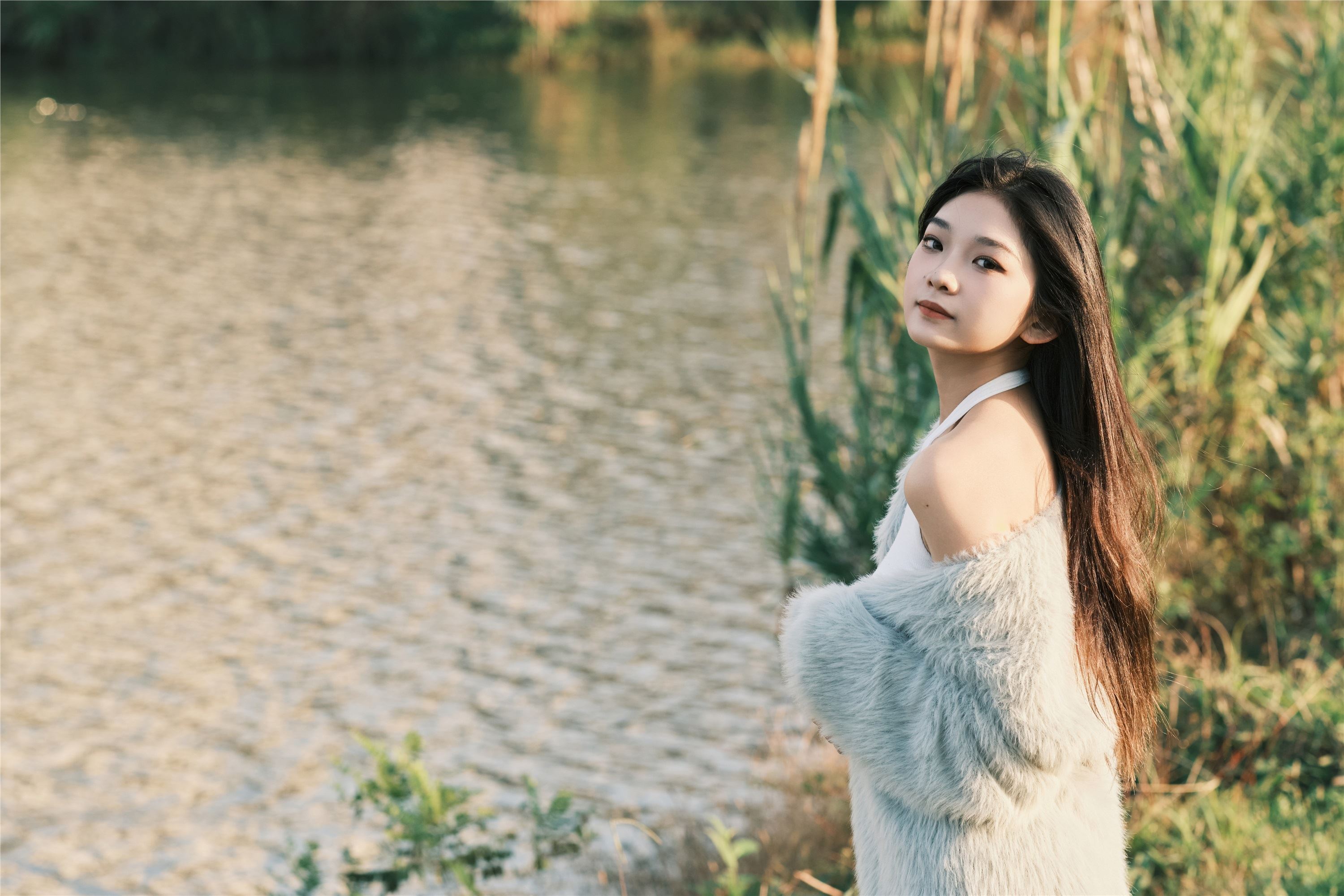 YITUYU艺图语 2025.01.03 湖边 一只狸猫